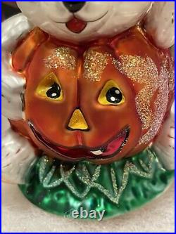 Christopher Radko Bear In Pumpkin Halloween Ornament Htf