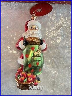 Christopher Radko Christmas Ornament Apple of Santa's Eye Apple Pie NEW