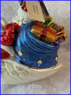 Christopher Radko Glass Ornament Birds of A Feather 2010 Rare Retired 1015922