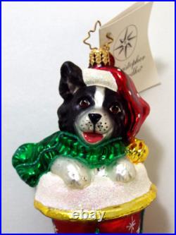 Christopher Radko Kyla Claus Border Collie Dog Christmas Glass Ornament With Tag