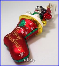 Christopher Radko Kyla Claus Border Collie Dog Christmas Glass Ornament With Tag