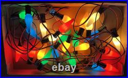 Christopher Radko Shiny Brite Glo-Brite 25 Light Set Christmas Lights