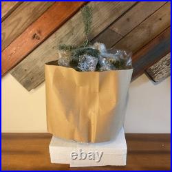 Christopher Radko Teleflora 24 Christmas Tree withMini Glass Ornaments RARE NOB