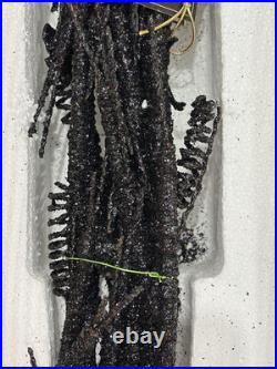 NEW Christopher Radko Howl Manor Halloween Ornament Tree 36 in Original Box