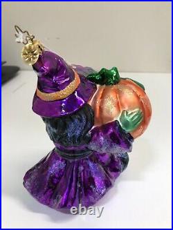 Radko halloween ornament witch hazel