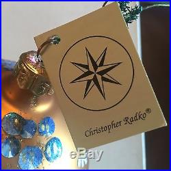 Set of 6 CHRISTOPHER RADKO ENGLISH GARDEN BALL GLASS ORNAMENTS IN BOX