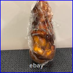 The Wizard of Oz Christopher Radko Cowardly Lion Christmas Ornament NIB RARE
